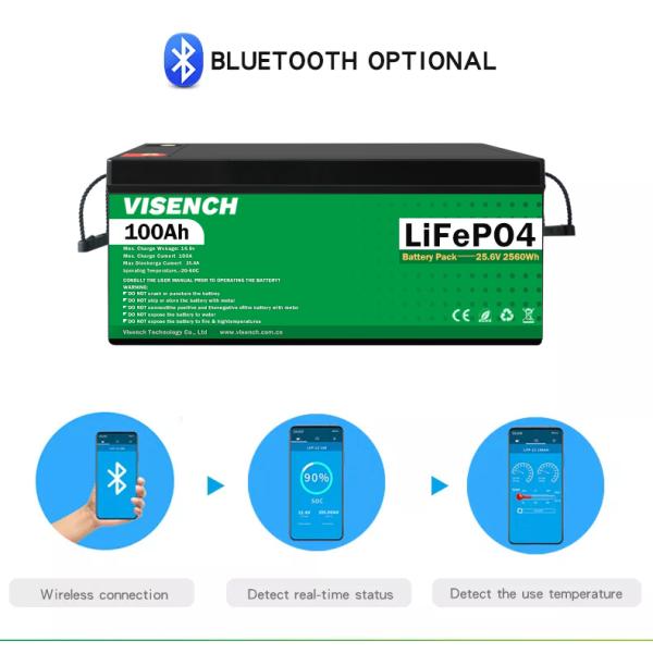 Visench Rechargeable Lithium Ion Batteries 51.2V 100Ah 24 Volt Custom LiFePO4 Battery Pack