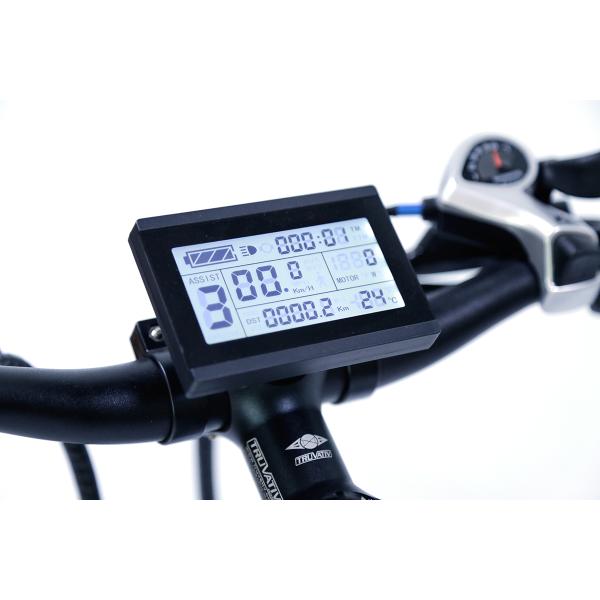 White Water Proof Electric City Bike With Fender,250w 36v, 7 speed , front suspemsion