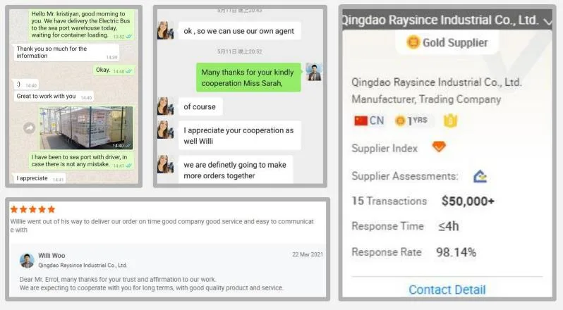 Raysince solar panel rhd electric vehicles hot sales right hand electric car