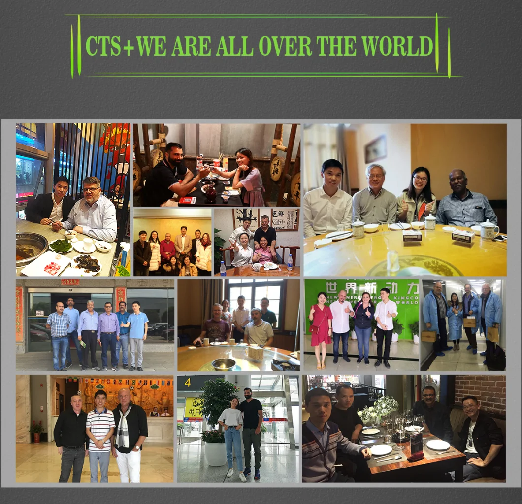 Cts Cusomized 70V 60V 30ah 35ah 40ah Power Lithium Battery for Electric Motorcycle, Lithium Ion Battery Rechargeable