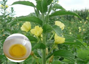 China PMS Organic Plant Oils Dietary Supplement Evening Primrose Oil for Capsules wholesale