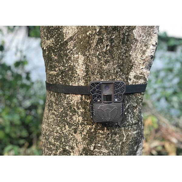 Wildlife Night Vision Hunting Camera Deer Trail With 2 Inch HD Colorful Screen