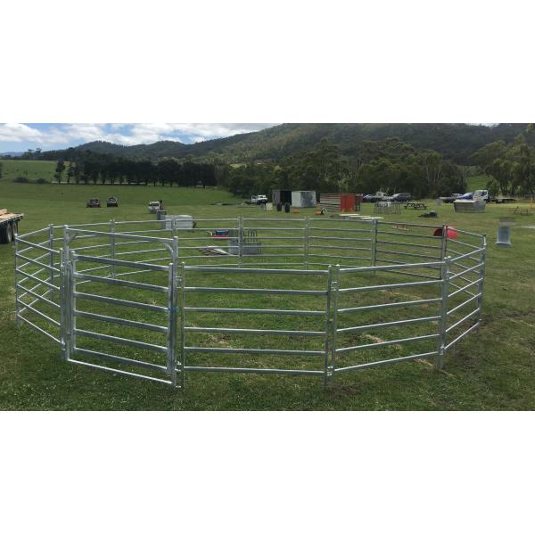 Round Corral Panels Heavy Duty 6 Oval Rail - Portable Horse Pens For Sale