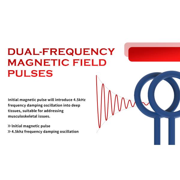 PEMF Therapy Device with 1000-6000 Gauss Magnetic Intensity 1-10Hz Frequency and 12.1-inch HD Touchscreen for Pain Relief
