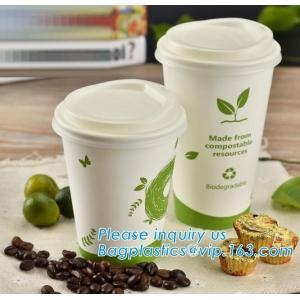 Eco-friendly, Blodegradable, Compostable, PLA Lined Disposable Hot Cold Beverage