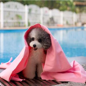 China 66*43 large pet bath towel dog bath towel synthetic chamois PVA towel Clean  pet towel on sale
