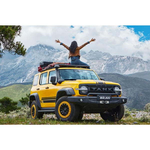 2023 Great Wall Compact SUV TANK 300 Off Road Version 2.0T 4WD 5 Seats Wheel Base 2750 Emission standard Euro VI Used Car