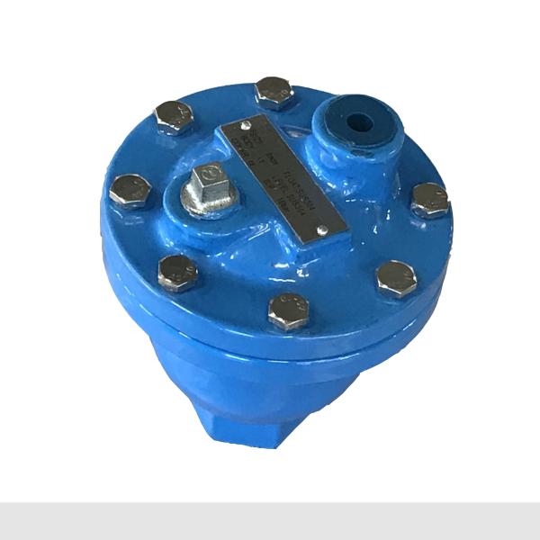PN16 Cast Iron Air Release Valve ANSI / JIS/ DIN Single Air Vent Valve Thread End