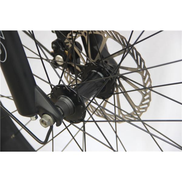 Mini Portable Electric Bike With Detachable Battery Lithium 32kgs