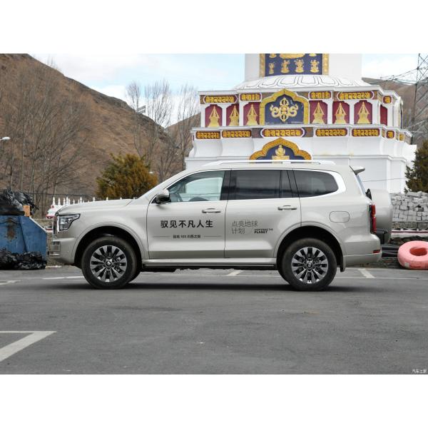 Gasoline Petrol Hybrid Cars 3.0T Sports Version Built 5 Seats Gold Tank 500 2023