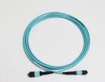 High Stability OM4 MTP Fiber Optical Patch Cord For 40G Networks