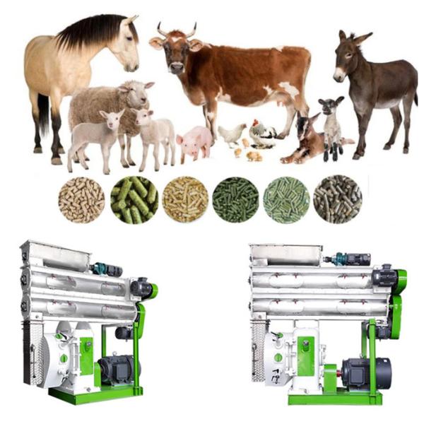 Livestock Animal Feed Production Machine Adjustable Speed With CE Approve