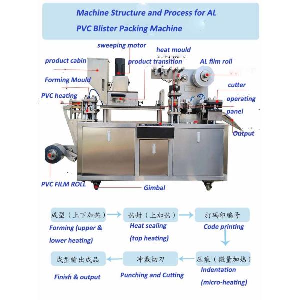 Health Tea Packaging Machine Automatic AL Plastic Blister Bubble Packing Machine