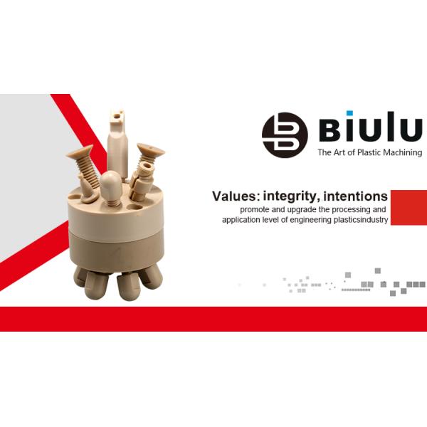 CNC PEEK Plastic Machining High Precision Custom Color Machining Services