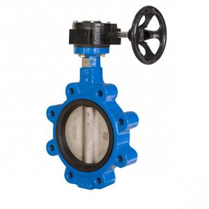 China Standard Size Concentric Butterfly Valve Double Flanged Butterfly Valve wholesale