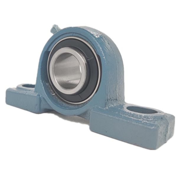 Custom UC209/UCP209 Pillow Block Flange Bearing 50mm With Heavy Housing