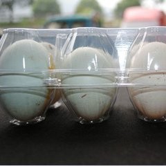4 Cell Clip Button Plastic Blister Packaging Clear Plastic Egg Cartons Halogen Free