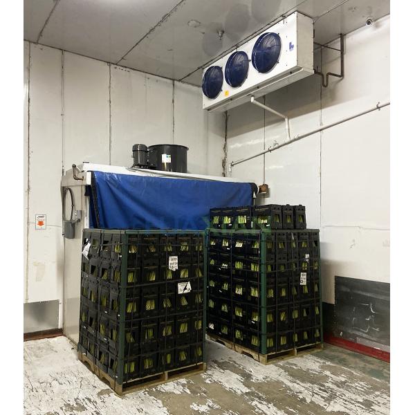 15kw Forced Air Cooler 18 Tons Capacity Precool Vegetables And Fruits