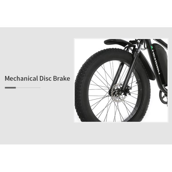 20MPH Fat Tyre Electric Mountain Bike 7Speed Geared Discbraked