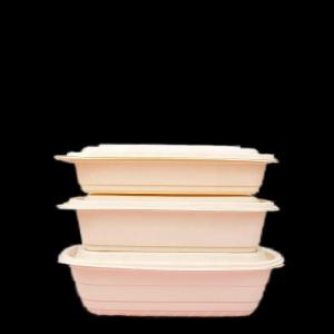 China Sustainable 500ML Biodegradable To Go Food Containers Microwave Safe wholesale