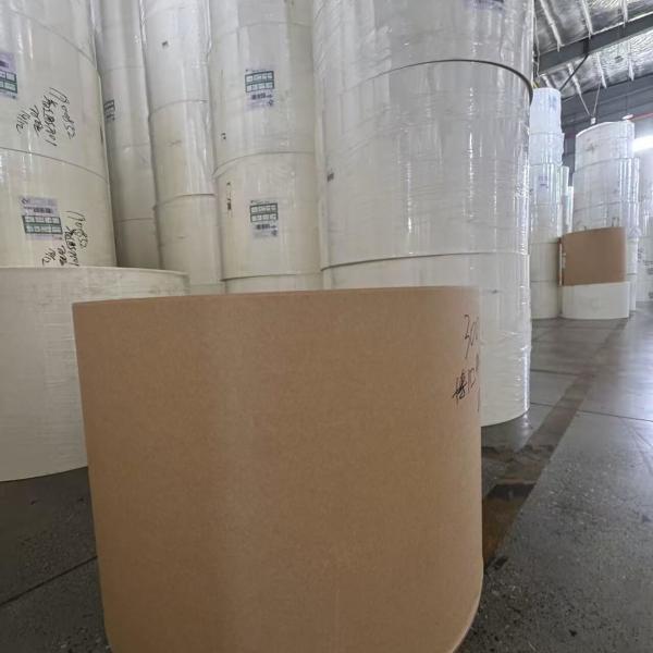 Environmentally Friendly PE Coated Paper Rolls for Takeaway Packaging Tea Coffee Beverage Cups