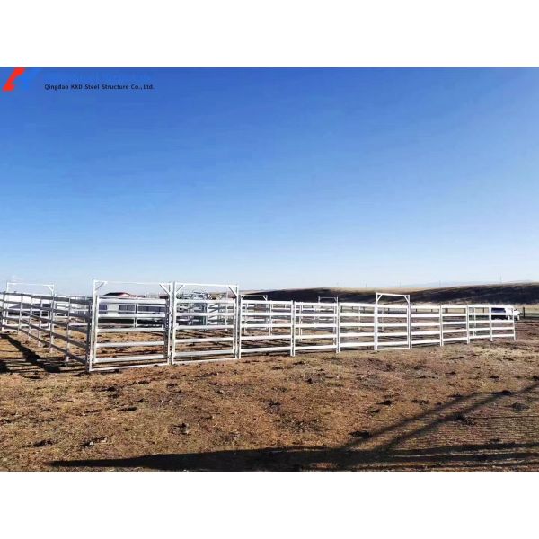 Anti Rust Galvanized Steel Cattle Yard Panels For Farm Fencing