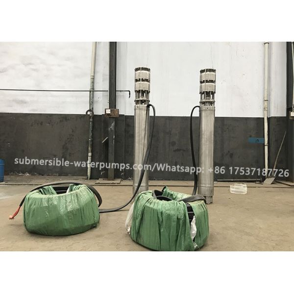Seafood Sea Water Lifting Submersible Pump