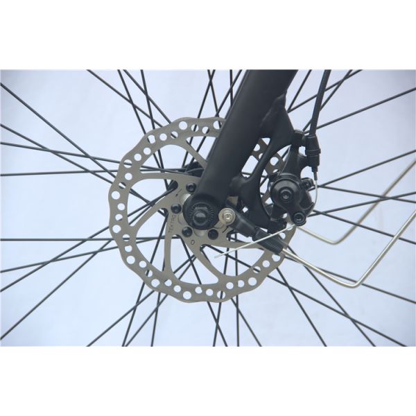 12" Portable Electric Bike Fat Tire For 350 Lb 400 Lb Person 200w E Bike