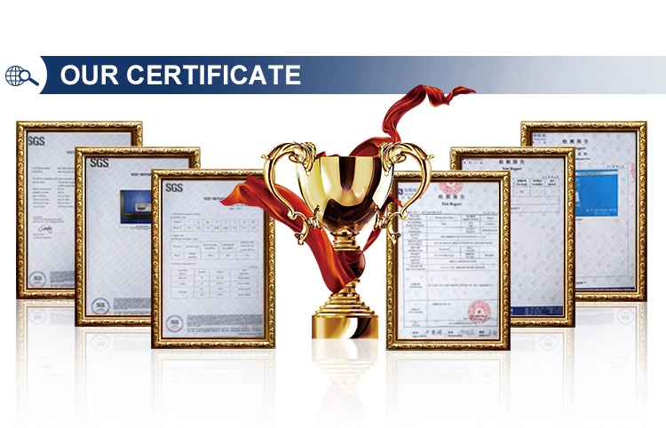 Stainless Steel Lifting Safety Captive Pin Long D Shackle Ss European Type Long Dee Shackle