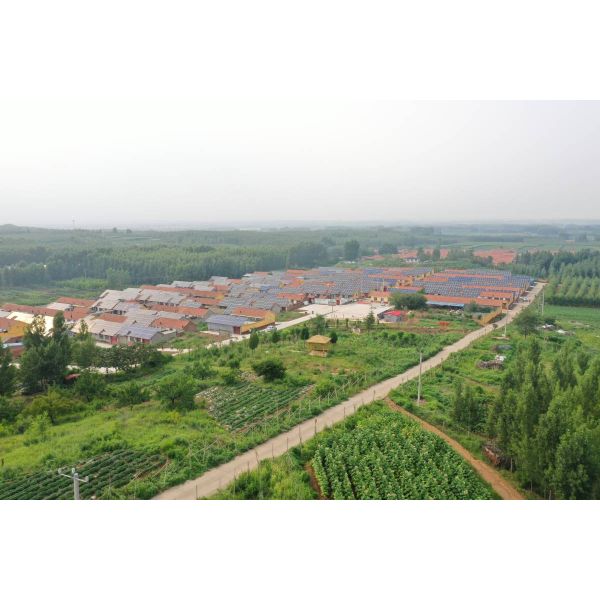 365W Monocrystalline Solar Panel For Home Use Mono Best