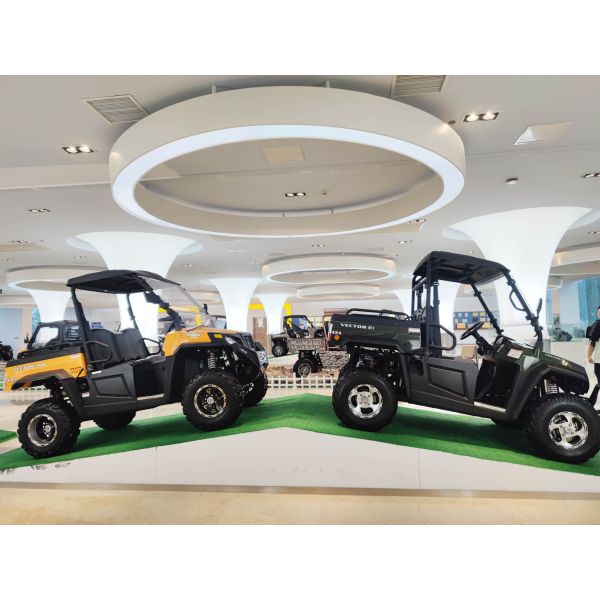 1000W Single-cylinder Water-cooled Engine Two-drive Chain Drive Hisun 250cc ATV with 1