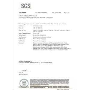 YUEQING VSELE ELECTRIC CO.,LTD. Certifications