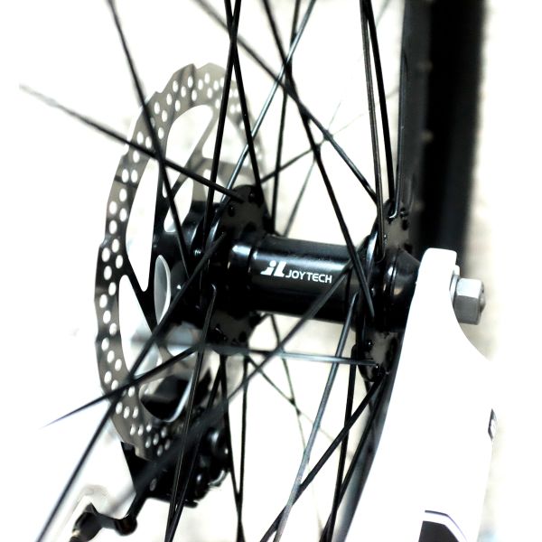 Battery Powered Elec City Bike 500w For Ladies Steel Painting Mudguard