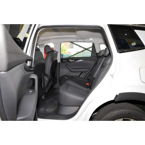 Weima W6 New Energy Weltmeister Medium Full Electric SUVs 160kW