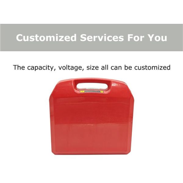 24V 24.8V 30AH Sodium Ion AA Battery SIB Pack For Electric Pallet Jack