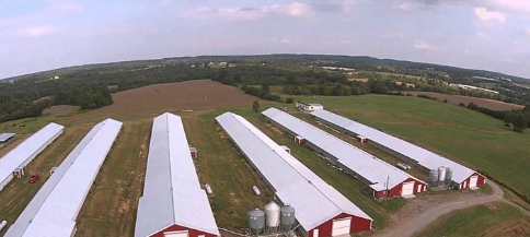 Customized Modern Steel Structure Poultry House With Sliding Door And Aluminum Window