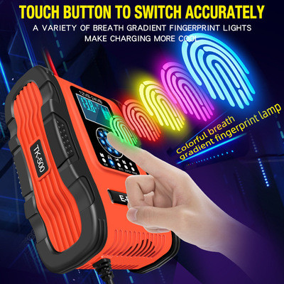 GEL WET AGM 12.6V Lifepo4 Lithium Phosphate Battery Charger