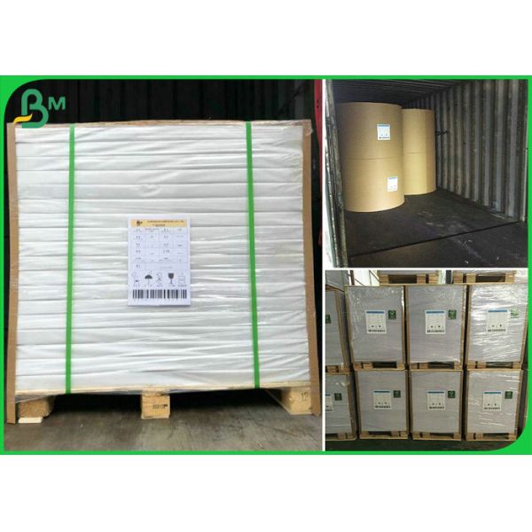 55gsm 60gsm Reels Size 900mm FSC Certified Exercise Book Paper For Printing