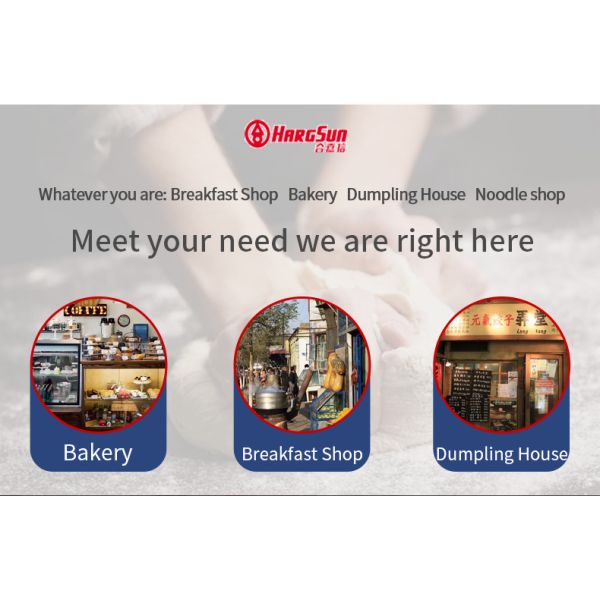 420r/Min Commercial Planetary Mixer Heavy Duty 20L Cake Bakery Equipment