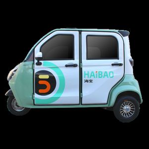 China 3 People Electric Passenger Tricycle Road Legal Enclosed Electric Trike wholesale