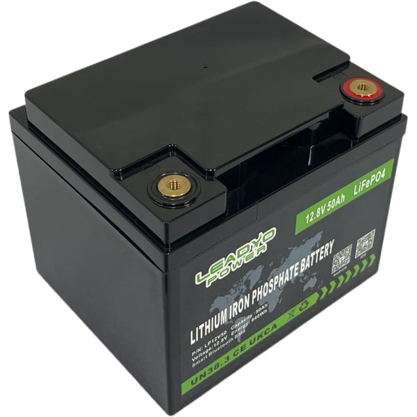 Rechargeable BMS Marine Boat Lithium ion Battery 12v 50Ah LiFePO4 Deep Cycle Batteries