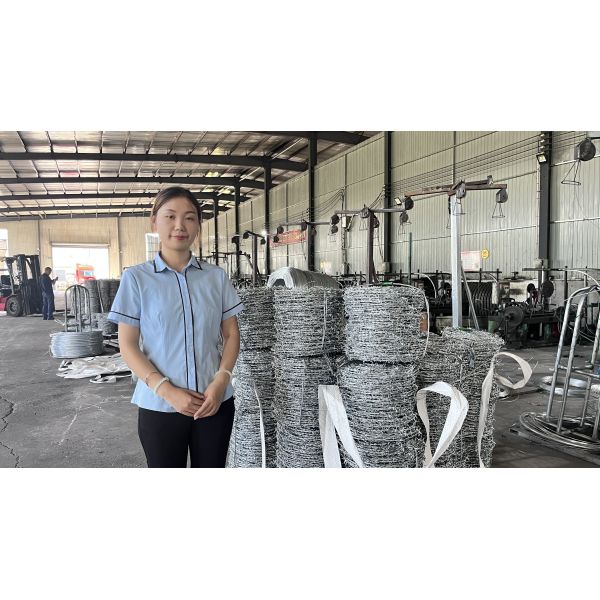 Hot Dipped Galvanized Fencing High Tensile Barbed Wire 1.6Mm 300M