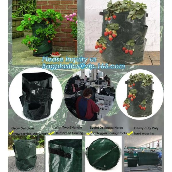 customized waterproof green pe car protector,environmental firendly, car boot liner, reusable, durable,economical,sample