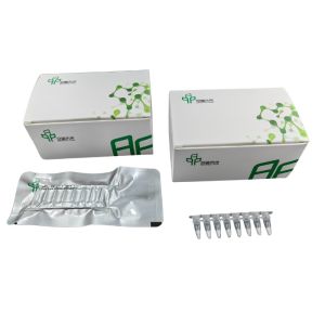 China High Performance PCR Isothermal Amplification Kit Fast And Accurate Results wholesale