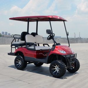 China Custom Club Car Precedent Hinged Golf Cart Tinted Windshield wholesale