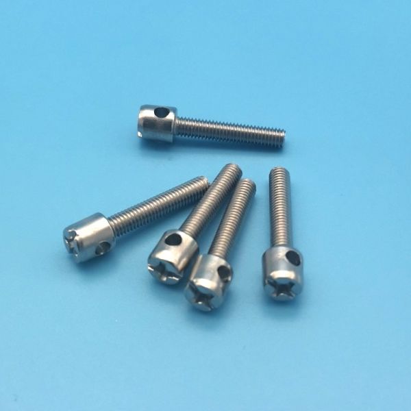 Stainless Steel Seal Screw Electric Meter Screw Hole Screw Low Voltage Power Distribution Screw Electric Meter Screw M3 M4 M5 Galvanized Lead Seal Screw Meter Screws Cover Bolt Perforated Bolts 10mm-40mm Length