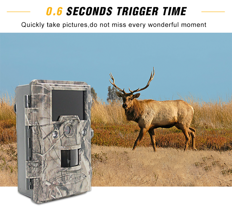 LCD Display 12MP 8M 3M Digital Wildlife Camera