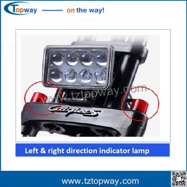 2017 TOP SELLER 60V 1500w 1000w seev citycoco scooter with removable battery