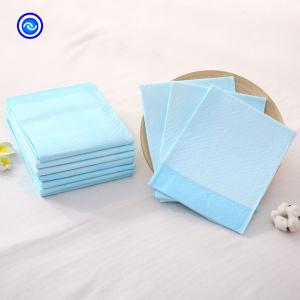 China Pet Training 120-250ml Absorbent Puppy Housebreaking Potty Training Pad wholesale