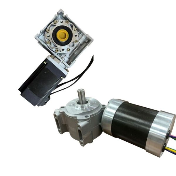 Customizable 12v 24v 36v 48v 60v Brushless Dc Car EV Motor, Weel Driving Off-road Vehicle BLDC Motors